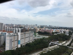 Blk 38 Upper Boon Keng Road (Kallang/Whampoa), HDB 5 Rooms #172573592
